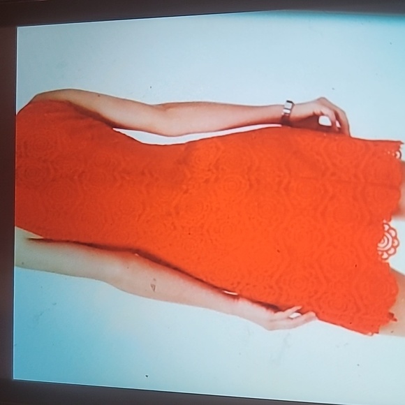 Ronni Nicole Lace Sleeveless Button Front Closure dress SZ 10 - Picture 13 of 13